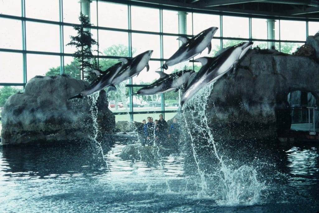 14 Largest Aquariums in the World - Largest.org