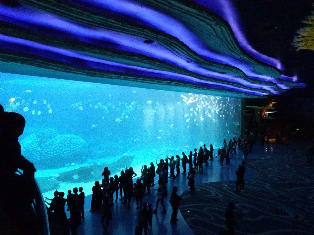 Chimelong Ocean Kingdom