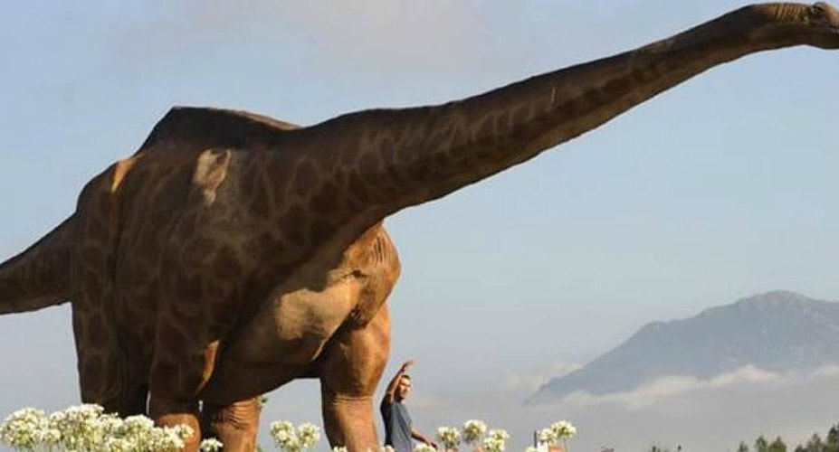 what does the biggest dinosaur look like