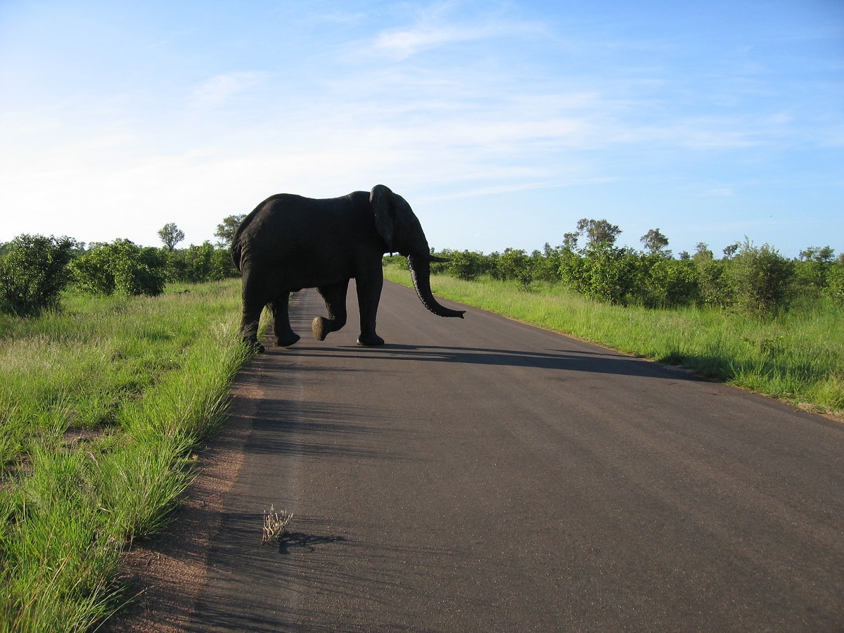 Kruger National Park