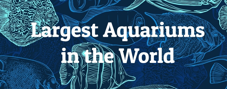 Largest Aquariums in the World