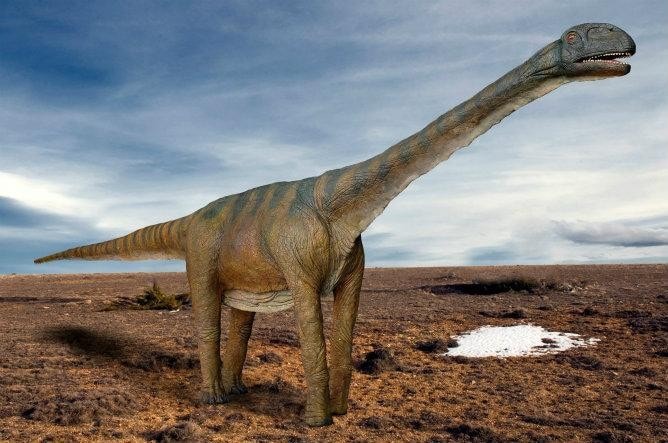 Turiasaurus riodevensis