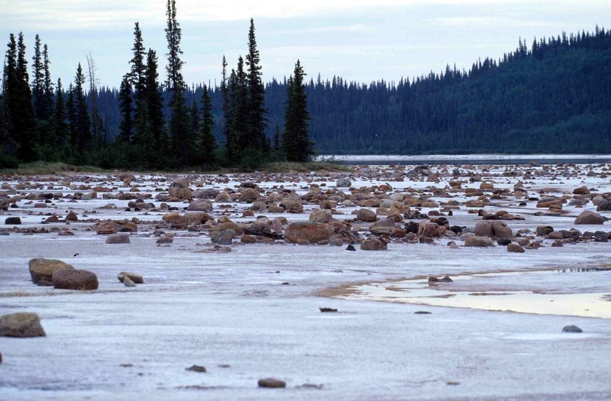 Wood Buffalo National Park