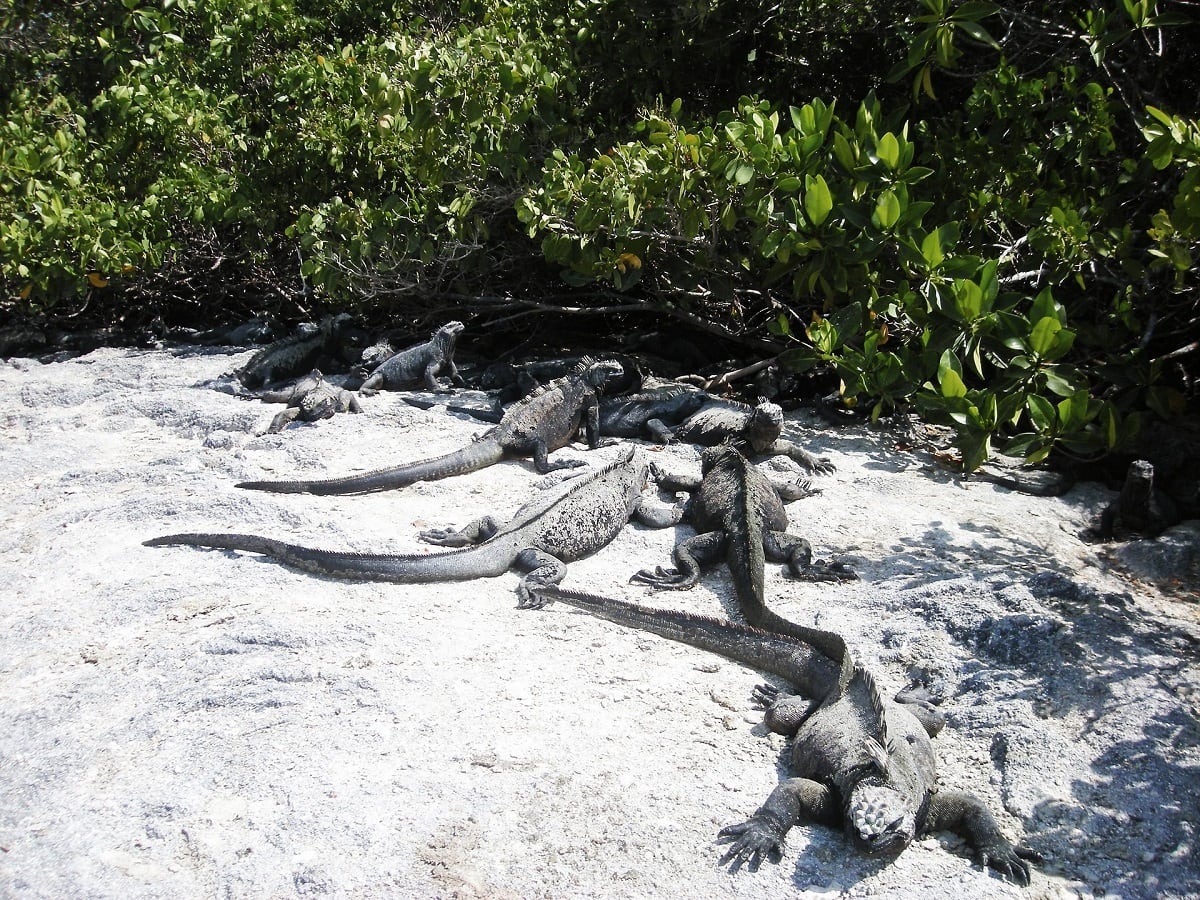 Galápagos National Park