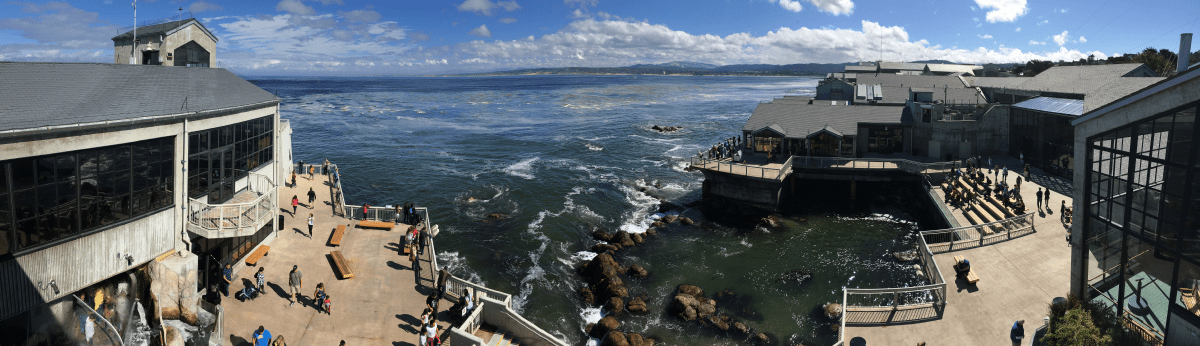 Acuario de la bahía de Monterey