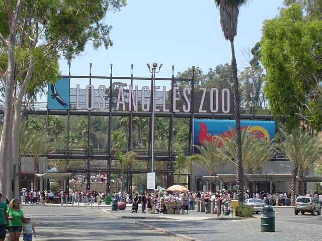 Los Angeles Zoo 