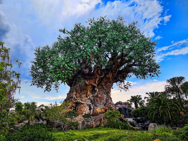 Disney's Animal Kingdom