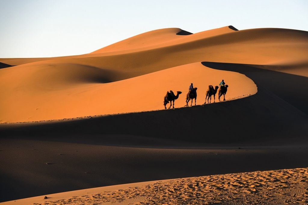 10 Largest Deserts In The World