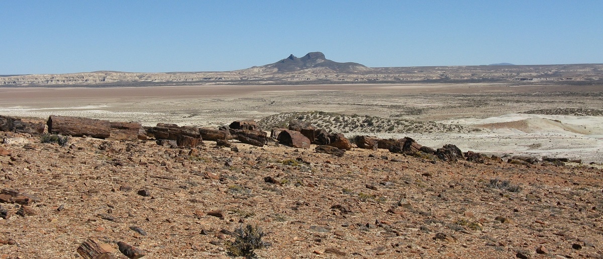 Desierto patagónico 