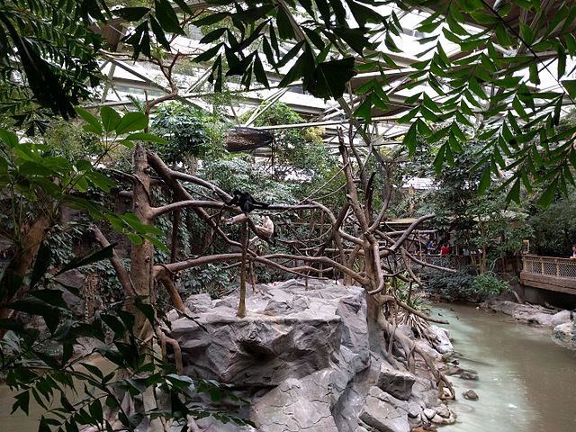 Minnesota Zoo