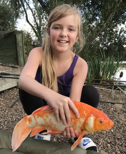 worlds fattest goldfish