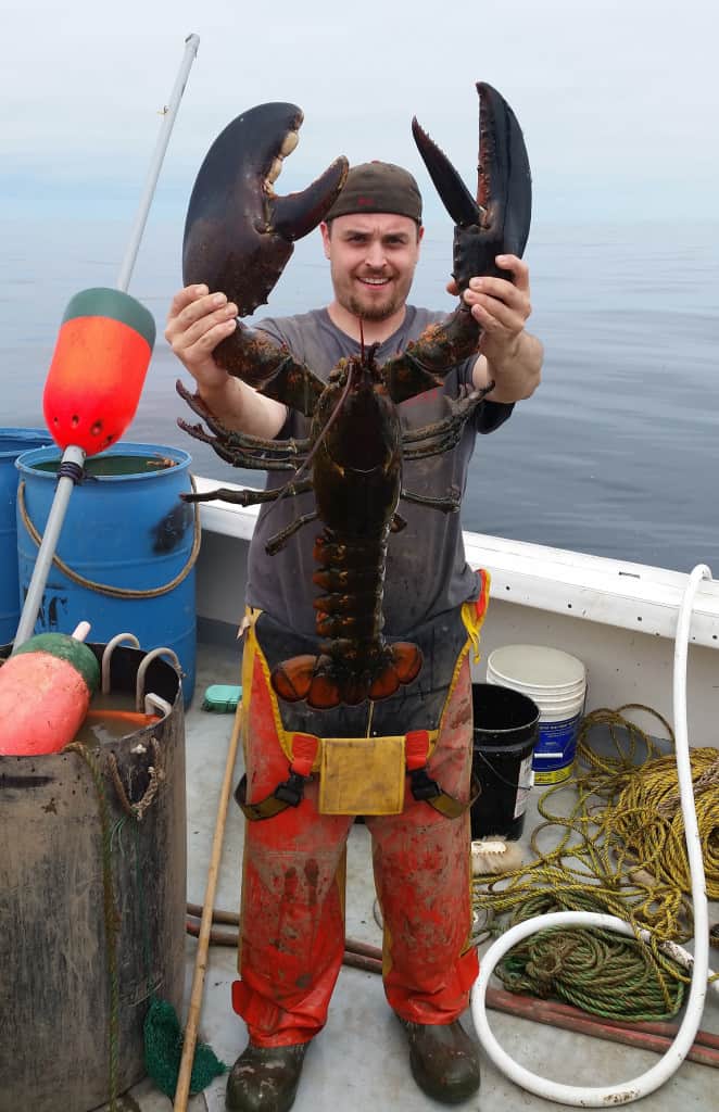 Largest Lobster In The World