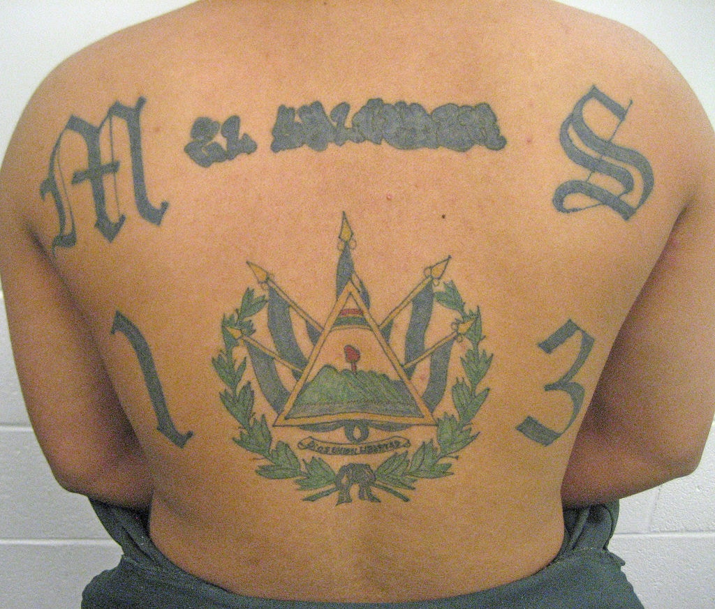 MS-13