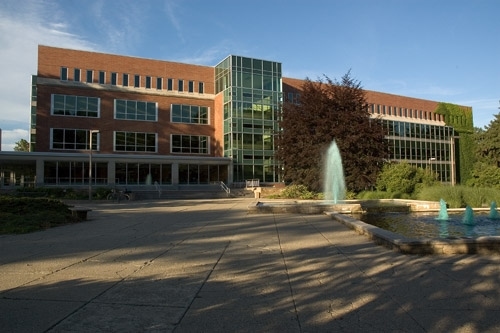 Universidad del estado de michigan