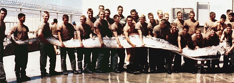 Giant_Oarfish