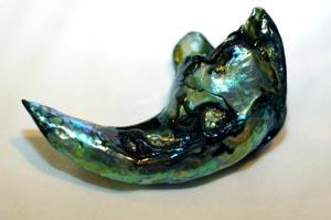 Abalone_Pearl