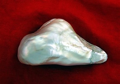 Worlds Largest Real Pearl