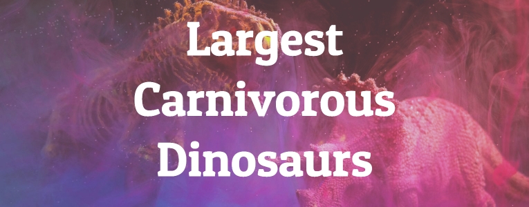 Largest Carnivorous Dinosaurs