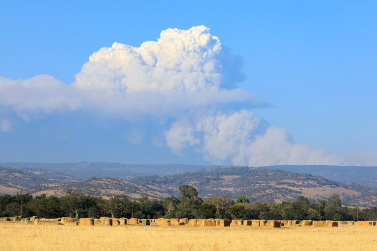 8-largest-wildfires-in-us-history-largest