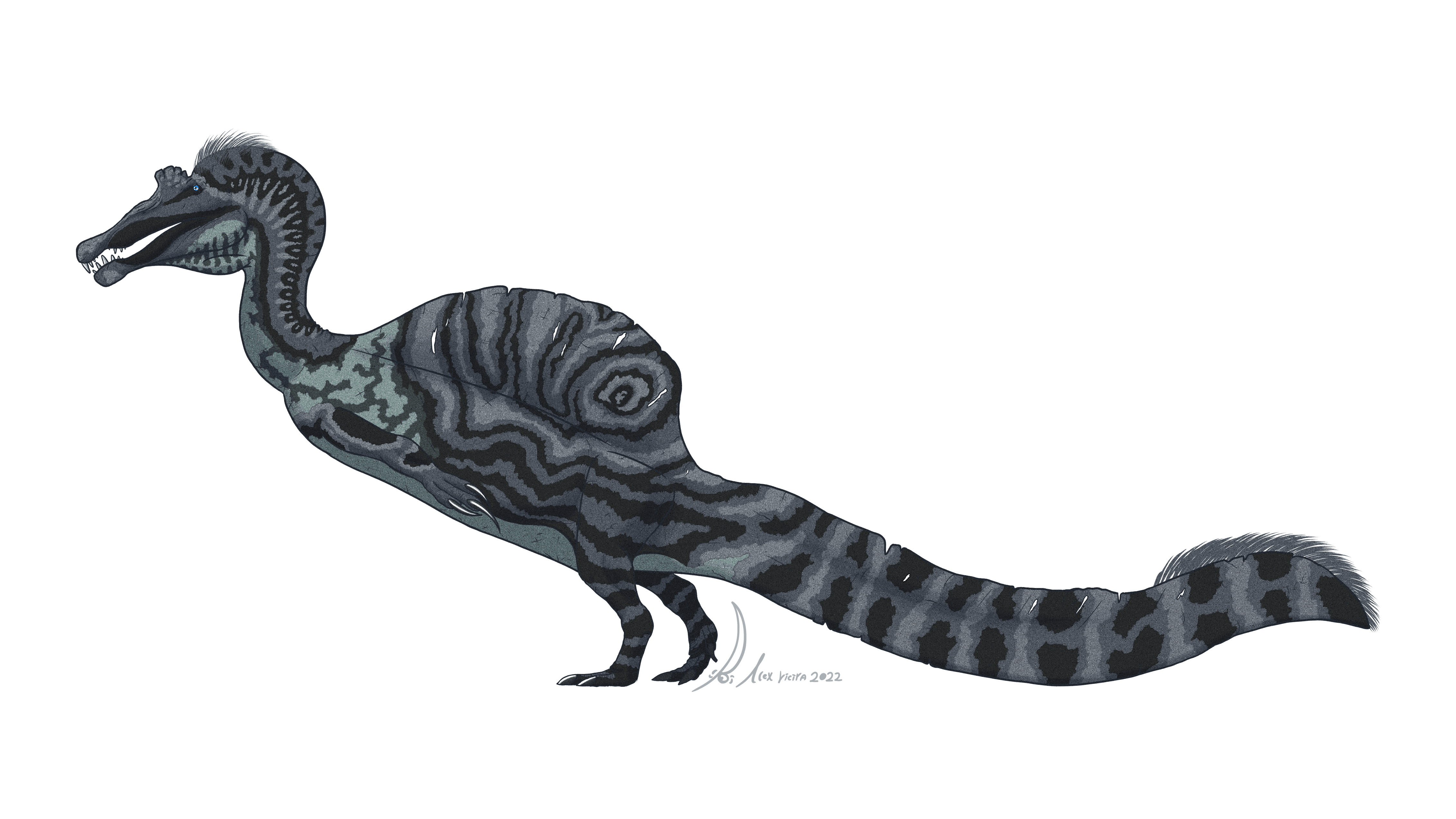 Sigilmassasaurus