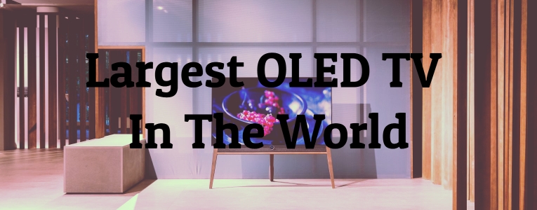 Largest Oled TV In The World