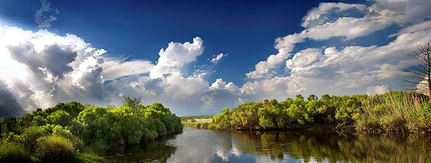 Bayou Sauvage National Wildlife Refuge