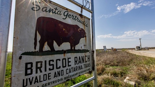 Briscoe Ranch