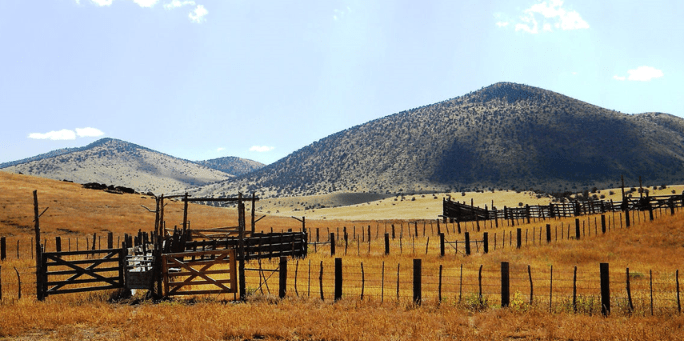 Babbitt Ranches