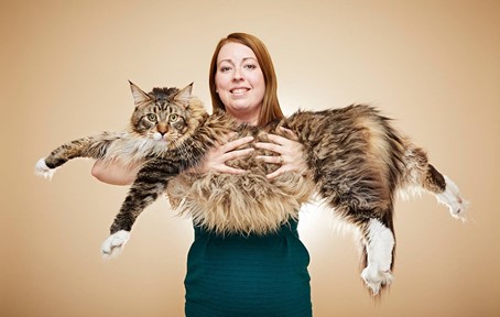 biggest domestic cat in the world 2022